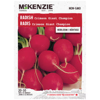 SEMENCES DE LEGUMES: RADIS - CRIMSON GIANT CHAMPION