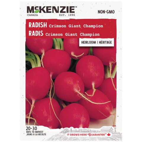 VEGETABLE SEEDS: RADISH - CRIMSON GIANT CHAMPION