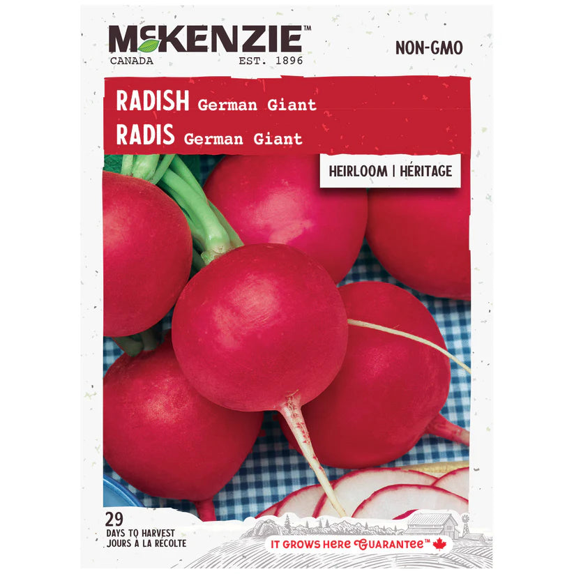 VEGETABLE SEEDS: RADISH - GERMAN GIANT