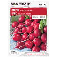 SEMENCES DE LEGUMES: RADIS - SCARLET GLOBE