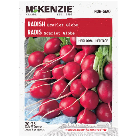 VEGETABLE SEEDS: RADISH - SCARLET GLOBE