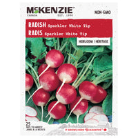 SEMENCES DE LEGUMES: RADIS - SPARKLER WHITE TIP