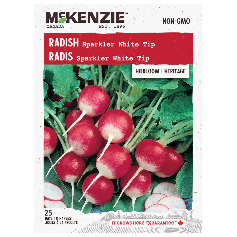 VEGETABLE SEEDS: RADISH - SPARKLER WHITE TIP
