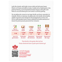 SEMENCES DE LEGUMES: BETTE À CARDE - RHUBARB