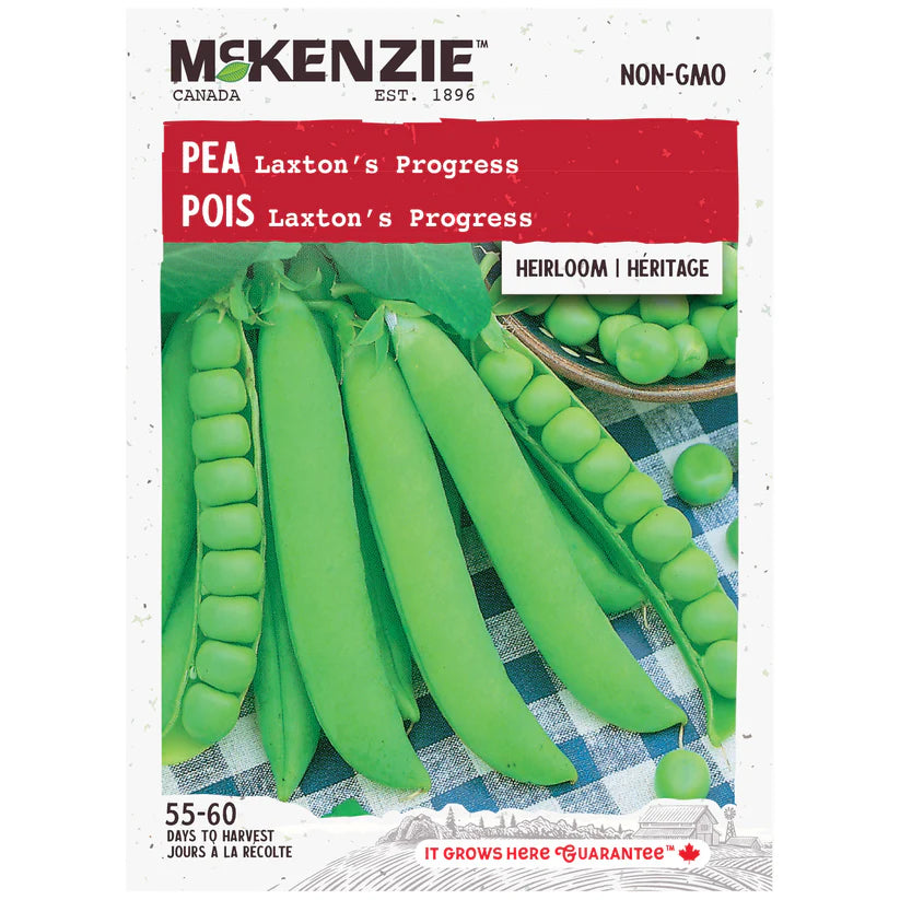 VEGETABLE SEEDS: PEA - LAXTON'S PROGRESS