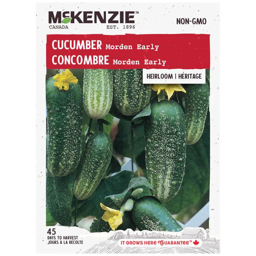 VEGETABLE SEEDS: CUCUMBER - MORDEN EARLY