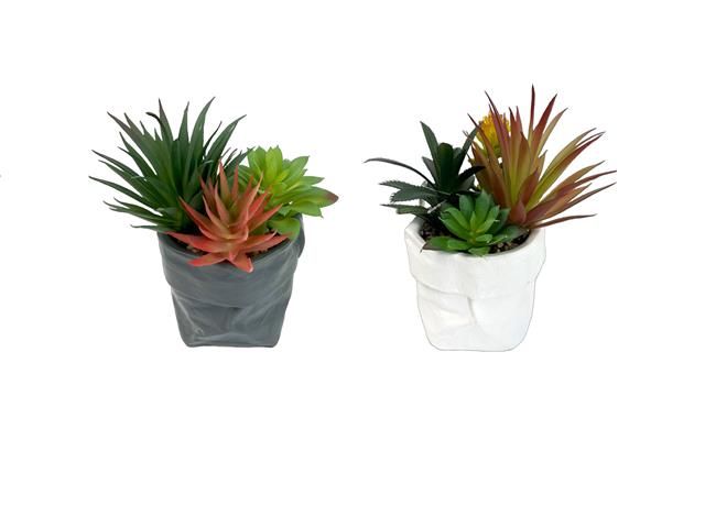 PLANTES SUCCULENTES ARTIFICIELLES EN SACHET DE CÉRAMIQUE