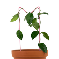 TREILLIS MÉTALLIQUE - M