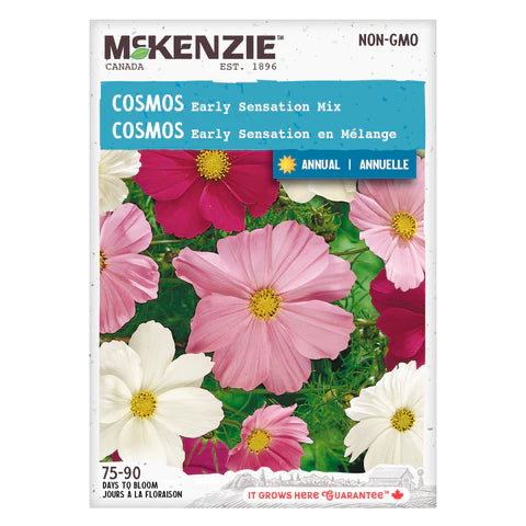 FLOWER SEEDS: COSMOS - EARLY SENSATION MIX