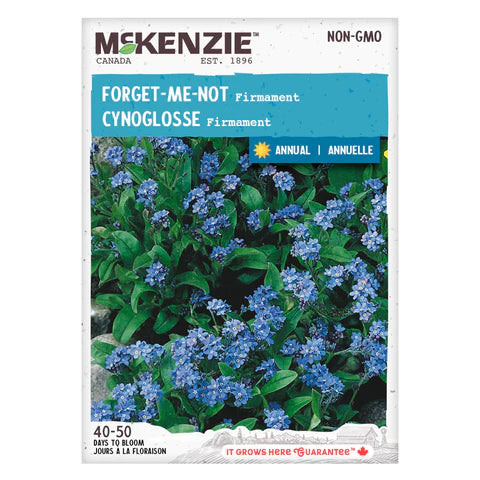 FLOWER SEEDS: HOUND'S TONGUE - FORGET-ME-NOT