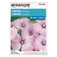 SEMENCES DE FLEURS: LAVATERE - SILVERCUP
