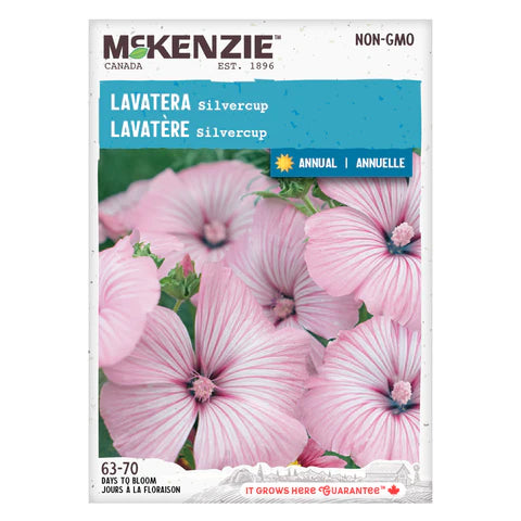 SEMENCES DE FLEURS: LAVATERE - SILVERCUP