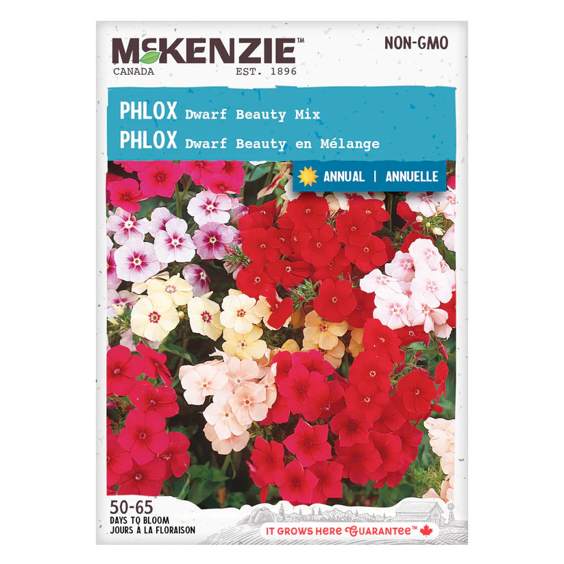 SEMENCES DE FLEURS: PHLOX - DWARF BEAUTY MIX