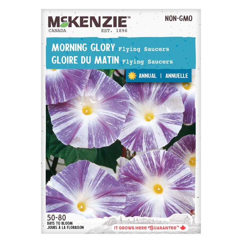 FLOWER SEEDS: MORNING GLORY - FLYING SAUCERS