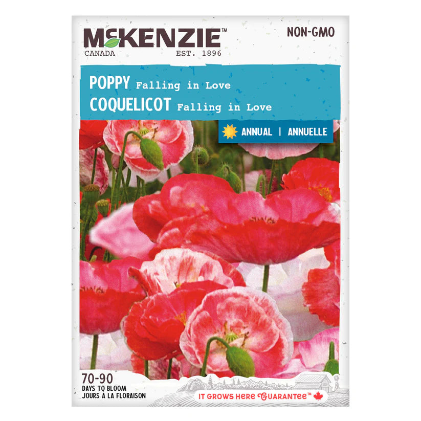 SEMENCES DE FLEURS: COQUELICOT - FALLING IN LOVE