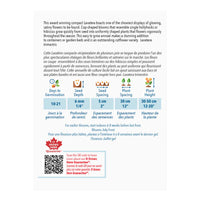 SEMENCES DE FLEURS: LAVATERE - TWINS HOT PINK