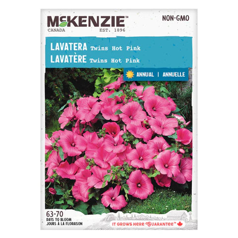 FLOWER SEEDS: LAVATERA - TWINS HOT PINK