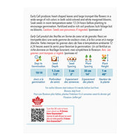 SEMENCES DE FLEURS: GLOIRE DU MATIN - EARLY CALL MIX