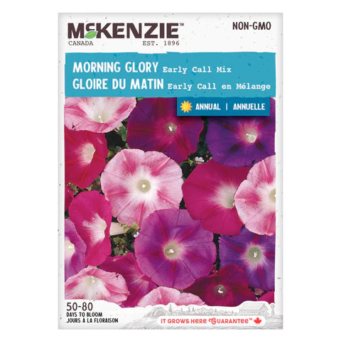 SEMENCES DE FLEURS: GLOIRE DU MATIN - EARLY CALL MIX