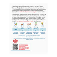 SEMENCES DE FLEURS: GLOIRE DU MATIN - HEAVENLY BLUE