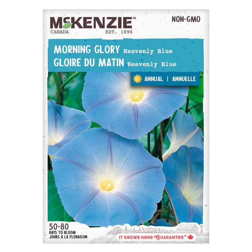 SEMENCES DE FLEURS: GLOIRE DU MATIN - HEAVENLY BLUE