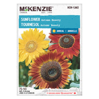 SEMENCES DE FLEURS: TOURNESOL - AUTUMN BEAUTY