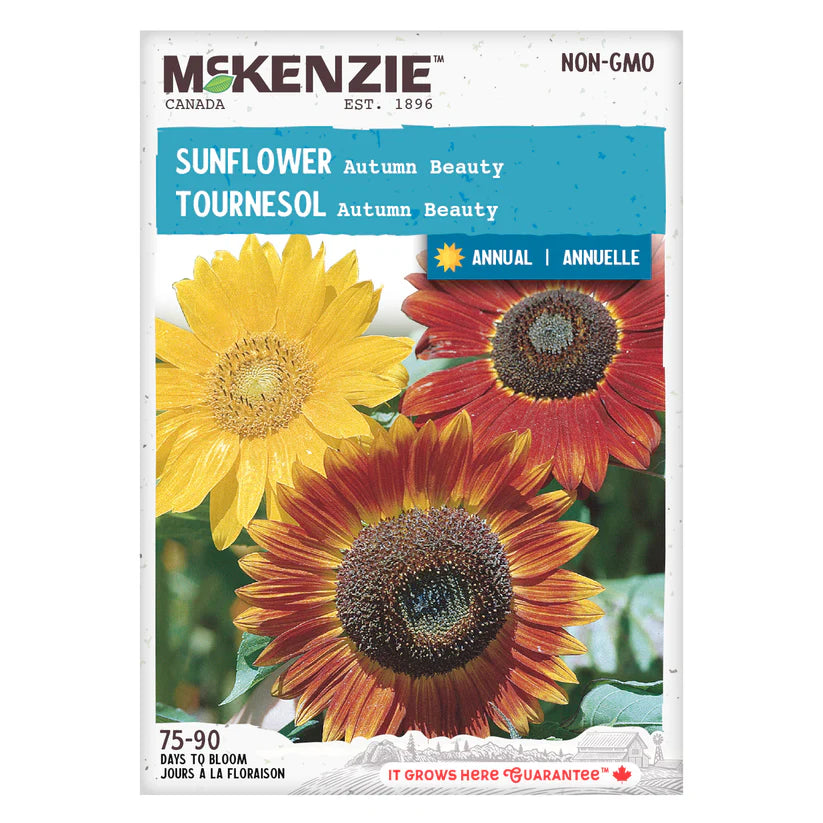 SEMENCES DE FLEURS: TOURNESOL - AUTUMN BEAUTY