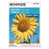 SEMENCES DE FLEURS: TOURNESOL - GOLDEN HEDGE