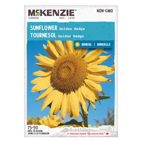 FLOWER SEEDS: SUNFLOWER - GOLDEN HEDGE