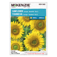 SEMENCES DE FLEURS: TOURNESOL - LARGE SEEDED TALL