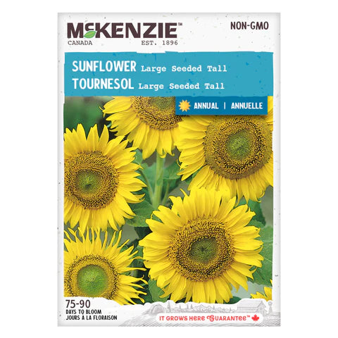 FLOWER SEEDS: SUNFLOWER - LARGE SEEDED TALL