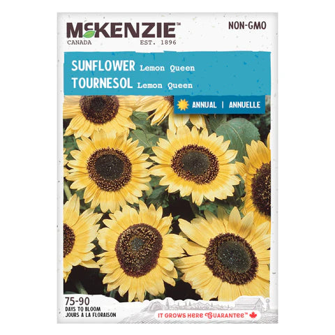 FLOWER SEEDS: SUNFLOWER - LEMON QUEEN