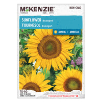 SEMENCES DE FLEURS: TOURNESOL - SUNSPOT