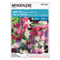 SEMENCES DE FLEURS: POIS DE SENTEUR - SPENCER GIANT MIX