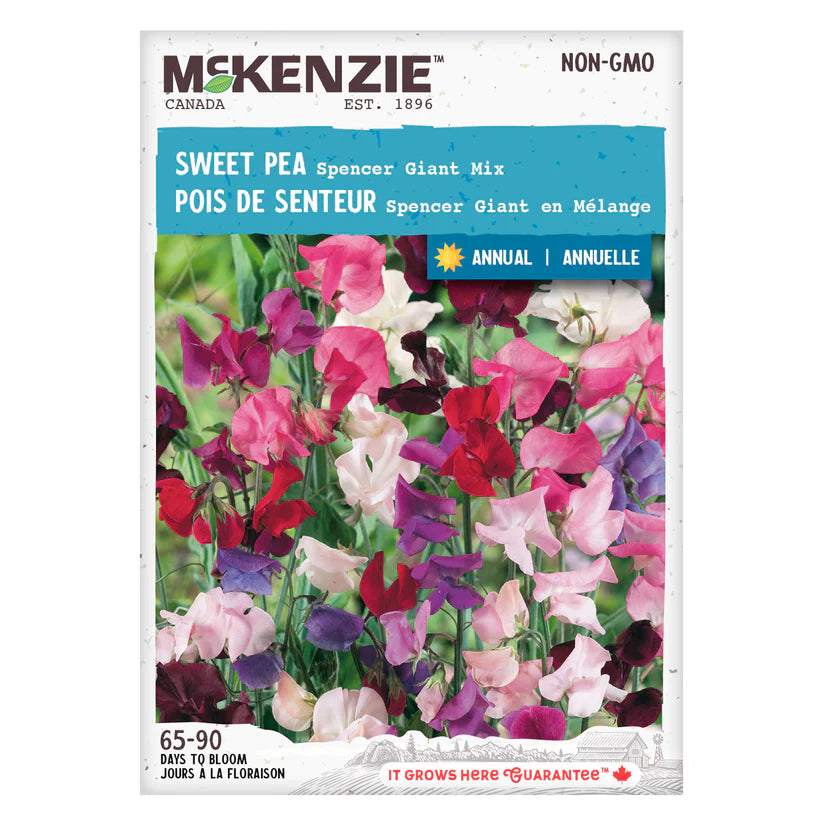 FLOWER SEEDS: SWEET PEA - SPENCER GIANT MIX