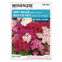 SEMENCES DE FLEURS: OIELLET DE POÈTE - DOUBLE EN MELANGE