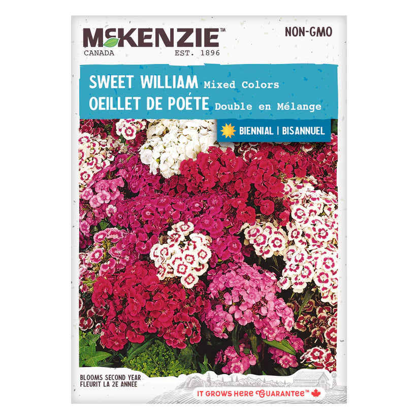 FLOWER SEEDS: SWEET WILLIAM - DOUBLE MIXED