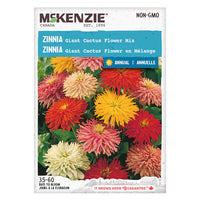 SEMENCES DE FLEURS: ZINNIA - GIANT CACTUS FLOWER MIX