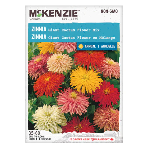 FLOWER SEEDS: ZINNIA - GIANT CACTUS FLOWER MIX