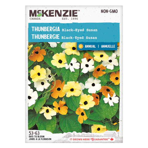 FLOWER SEEDS: THUNBERGIA - BLACK EYED SUSAN