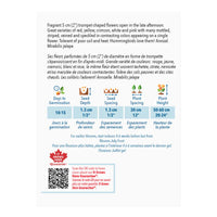 SEMENCES DE FLEURS: MÉLANGE QUATRE HEURES