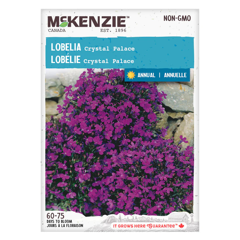 FLOWER SEEDS: LOBELIA - CRYSTAL PALACE