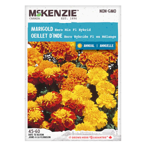 FLOWER SEEDS: MARIGOLD - HERO MIX