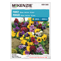 SEMENCES DE FLEURS: PENSEE - SWISS GIANT SHOW