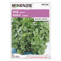 SEMENCES DE FINES HERBES: BASILIC - SWEET