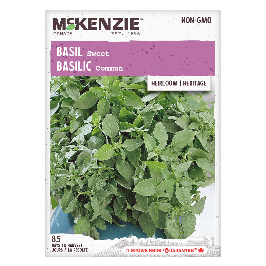 HERB SEEDS: BASIL - SWEET
