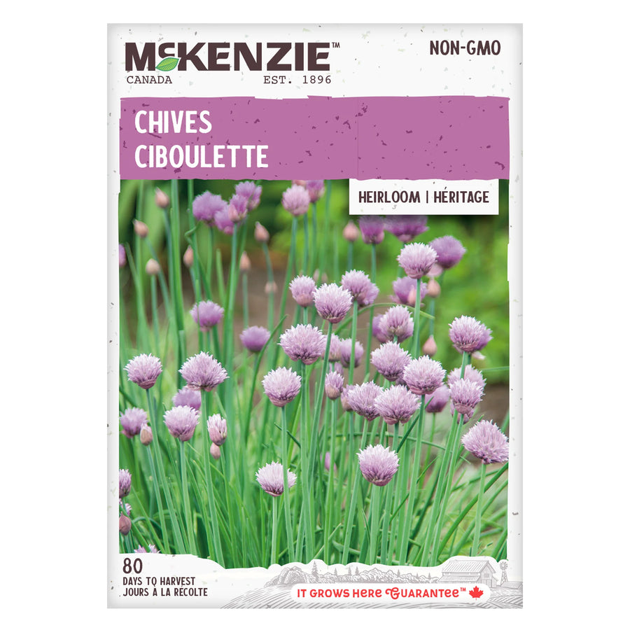 HERB SEEDS: CHIVES