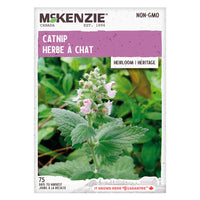 SEMENCES DE FINES HERBES: CATNIP - HERBE A CHAT