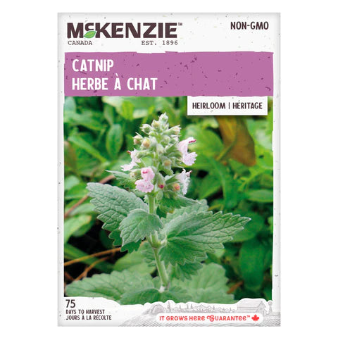 FINE HERB SEEDS: CATNIP