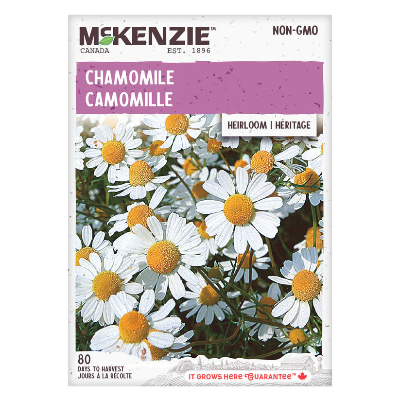 HERB SEEDS: CHAMOMILE